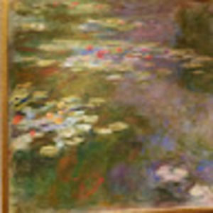 Meet your Posher, Noelle